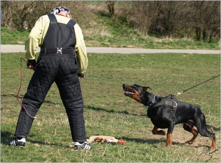 Training in Prague - 2. 4. 2008